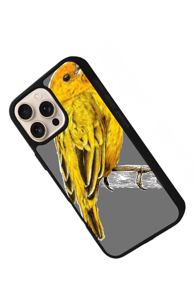 iPhone 16 Pro Uyumlu Fenerbahce Tasarımlı Glossy Premium Kılıf