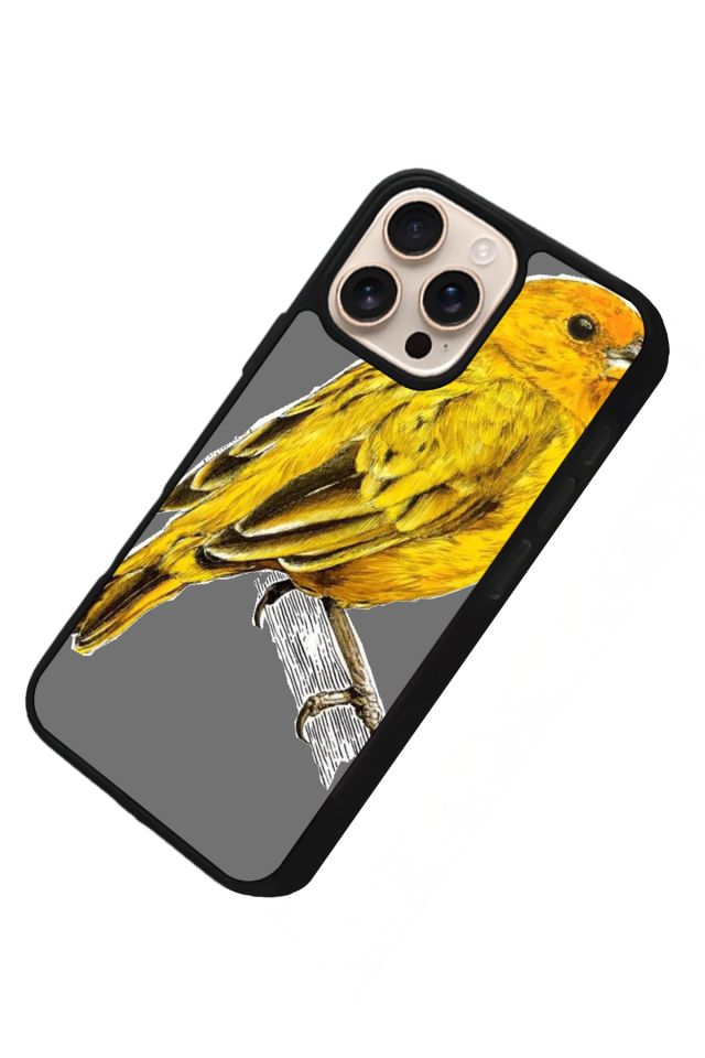iPhone 16 Pro Uyumlu Fenerbahce Tasarımlı Glossy Premium Kılıf
