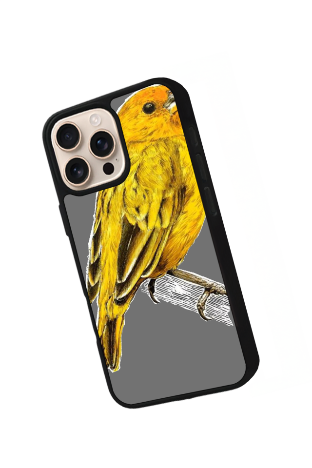 iPhone 16 Pro Uyumlu Fenerbahce Tasarımlı Glossy Premium Kılıf
