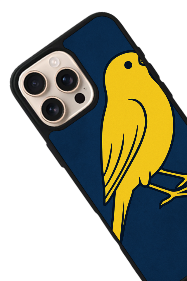 iPhone 16 Pro Uyumlu Fenerbahce Tasarımlı Glossy Premium Kılıf