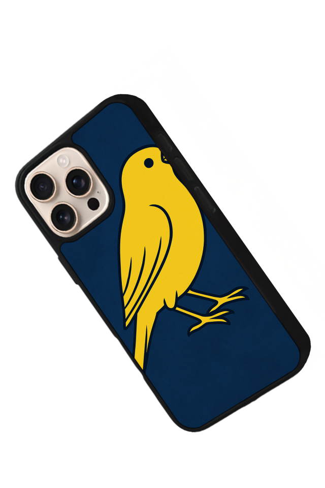 iPhone 16 Pro Uyumlu Fenerbahce Tasarımlı Glossy Premium Kılıf