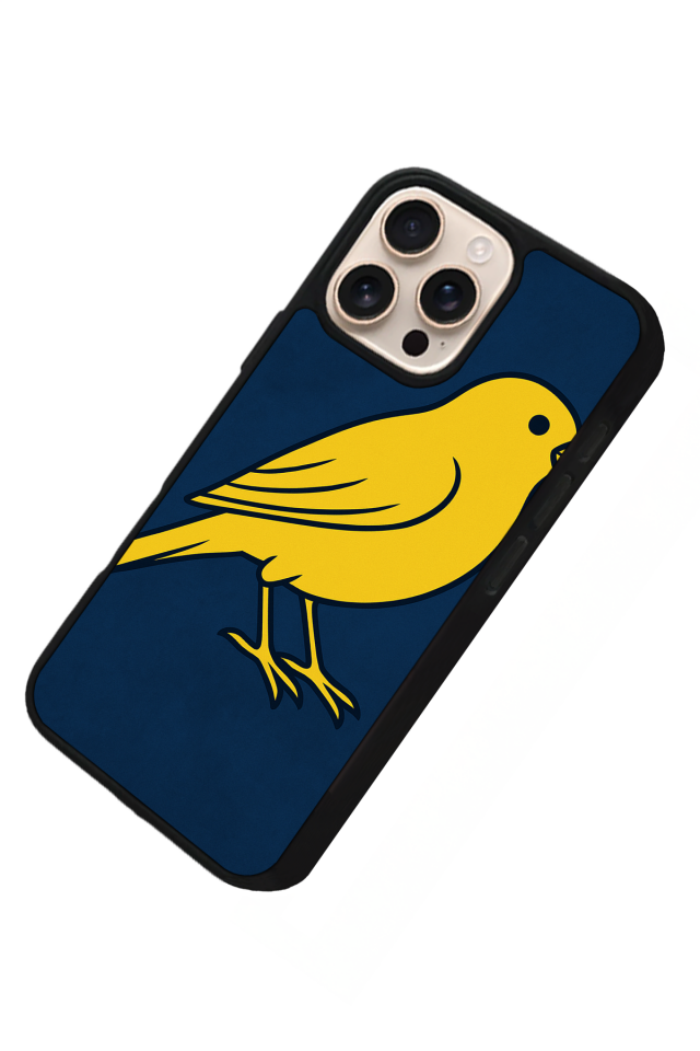 iPhone 16 Pro Uyumlu Fenerbahce Tasarımlı Glossy Premium Kılıf