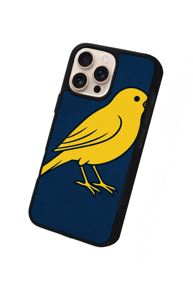 iPhone 16 Pro Uyumlu Fenerbahce Tasarımlı Glossy Premium Kılıf