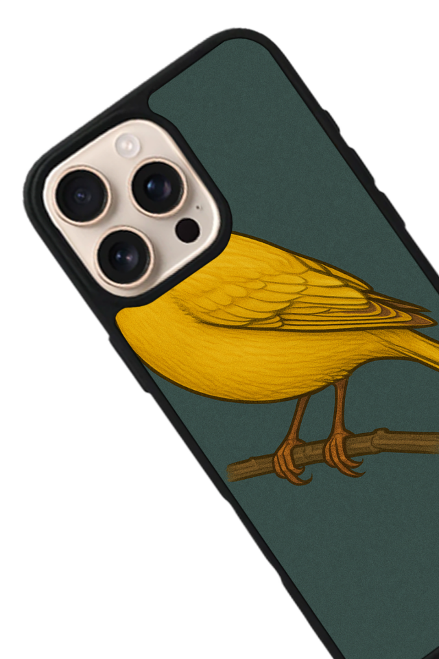 iPhone 16 Pro Uyumlu Fenerbahce Tasarımlı Glossy Premium Kılıf