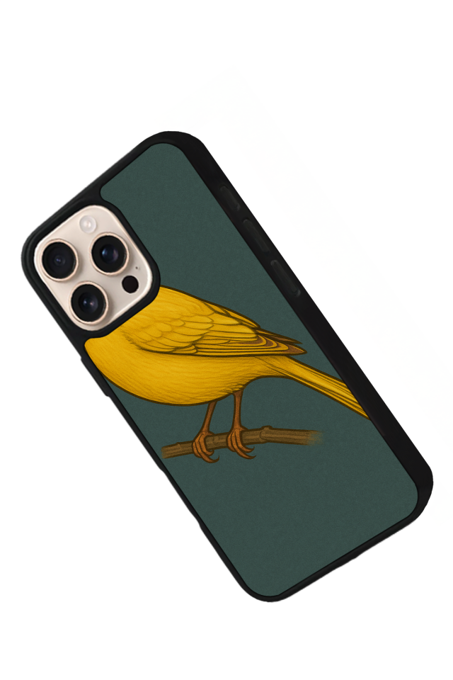 iPhone 16 Pro Uyumlu Fenerbahce Tasarımlı Glossy Premium Kılıf