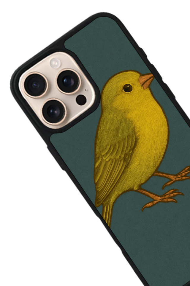 iPhone 16 Pro Uyumlu Fenerbahce Tasarımlı Glossy Premium Kılıf