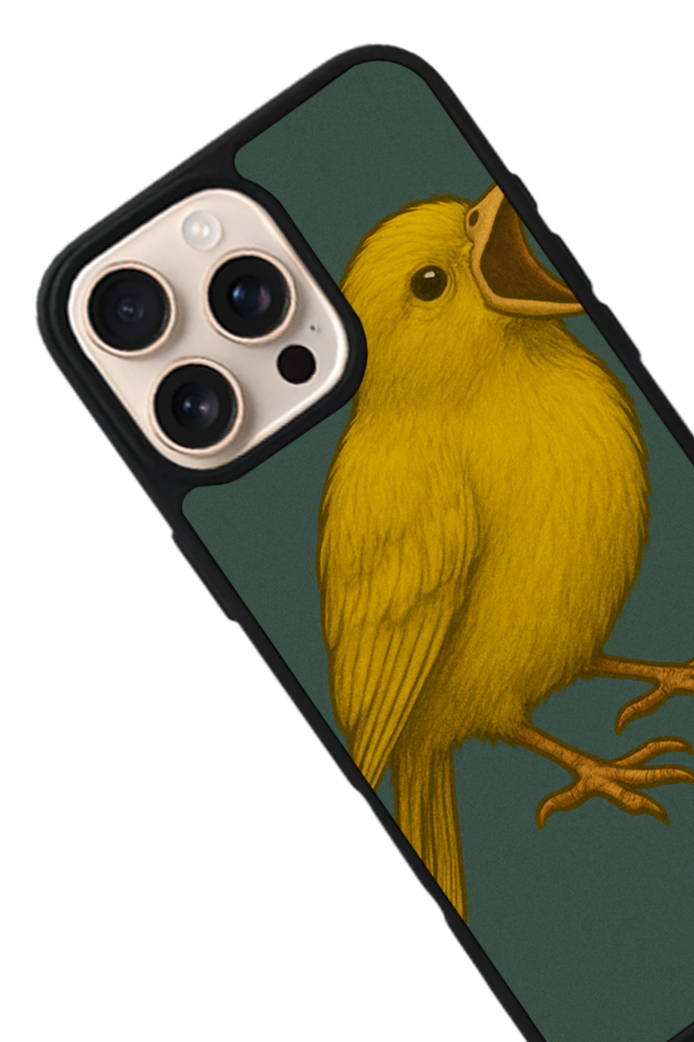 iPhone 16 Pro Uyumlu Fenerbahce Tasarımlı Glossy Premium Kılıf