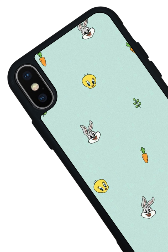 iPhone X/ XS Uyumlu Tweety Tasarımlı Glossy Premium Kılıf