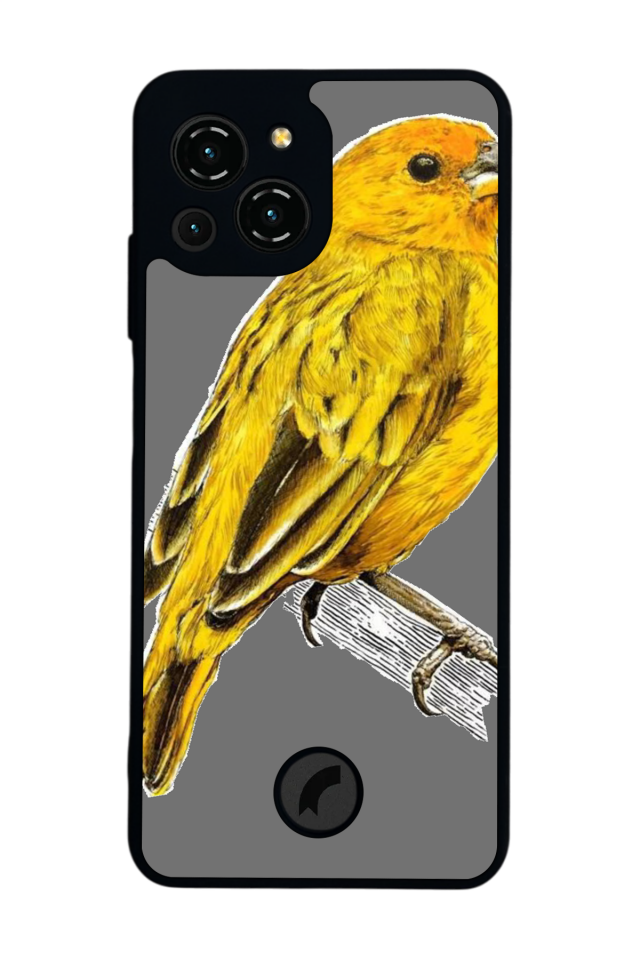 Reeder S23 Pro Max Uyumlu Fenerbahce Tasarımlı Glossy Premium Kılıf