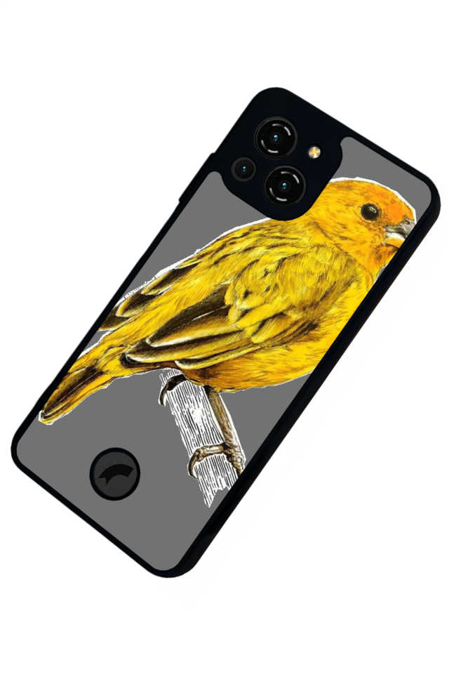 Reeder S23 Pro Max Uyumlu Fenerbahce Tasarımlı Glossy Premium Kılıf