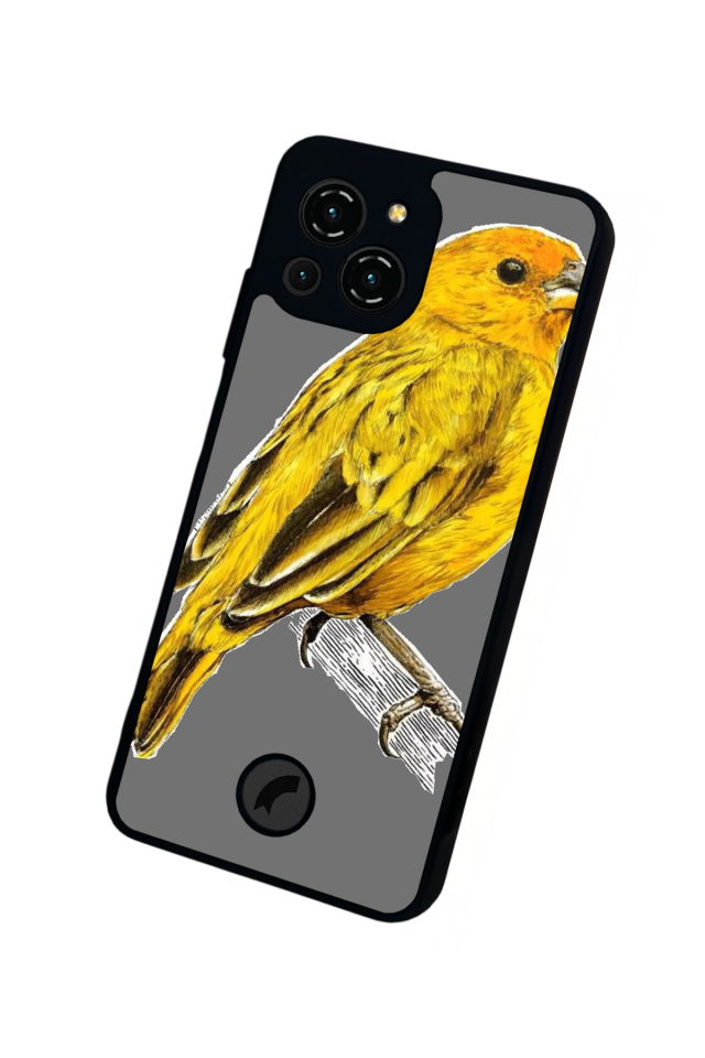 Reeder S23 Pro Max Uyumlu Fenerbahce Tasarımlı Glossy Premium Kılıf