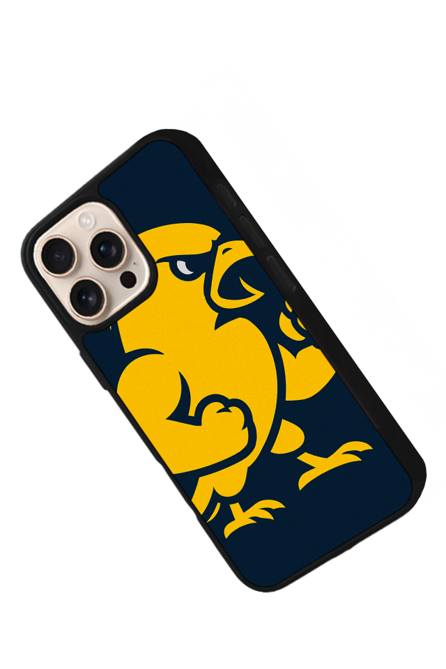 iPhone 16 Pro Uyumlu Fenerbahce Tasarımlı Glossy Premium Kılıf