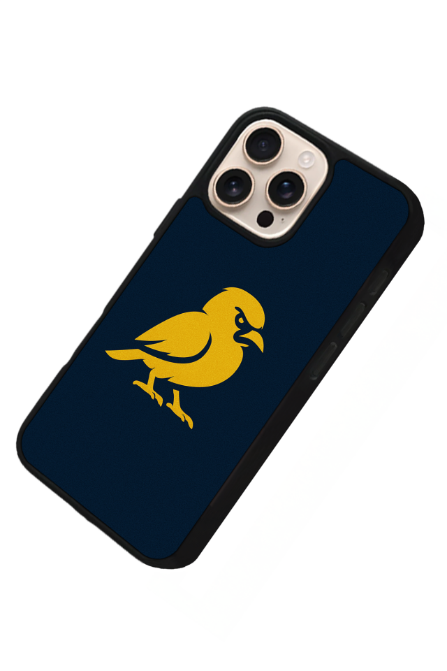 iPhone 16 Pro Uyumlu Fenerbahce Tasarımlı Glossy Premium Kılıf
