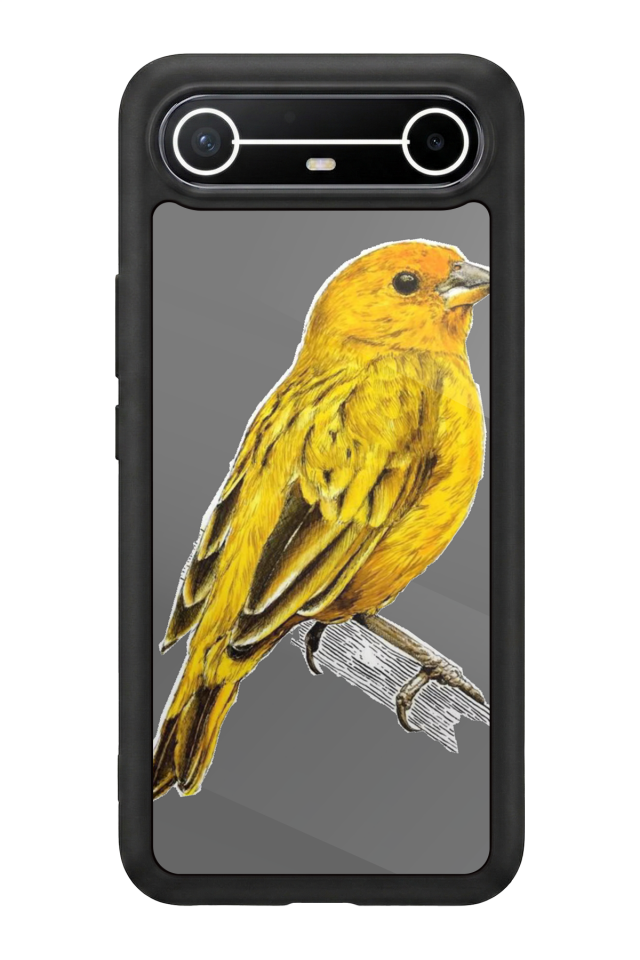 Tecno Spark Slim 5G Uyumlu Fenerbahce Tasarımlı Glossy Premium Kılıf