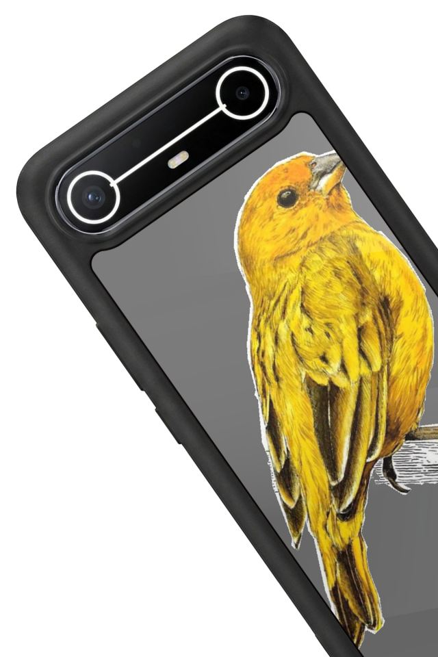 Tecno Spark Slim 5G Uyumlu Fenerbahce Tasarımlı Glossy Premium Kılıf