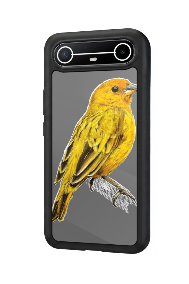 Tecno Spark Slim 5G Uyumlu Fenerbahce Tasarımlı Glossy Premium Kılıf