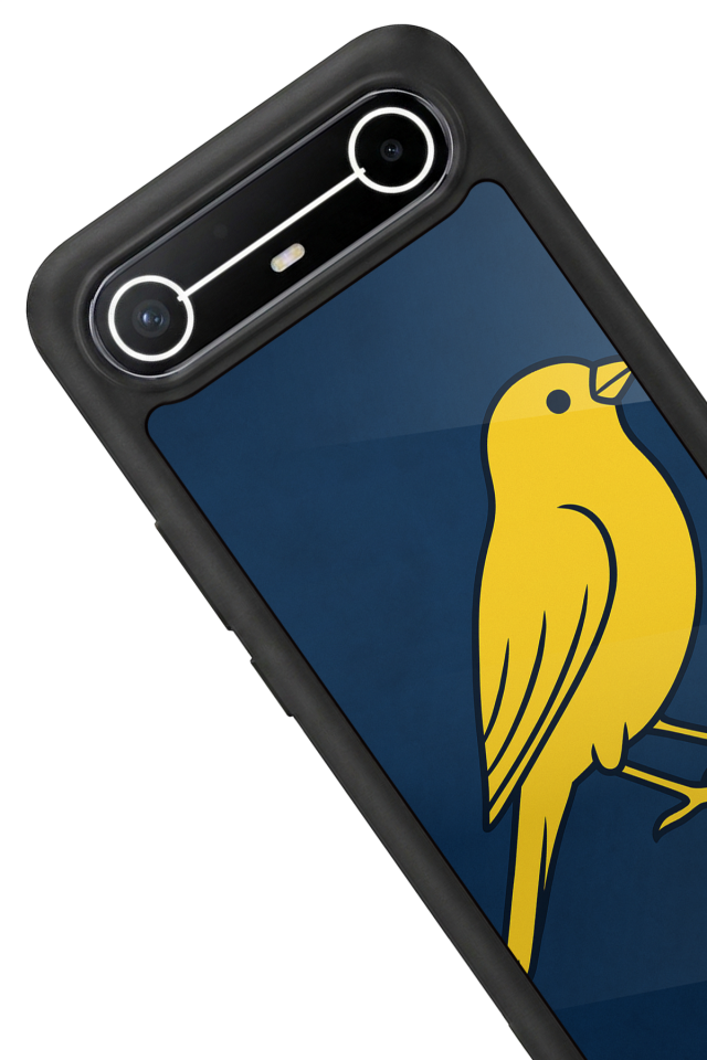 Tecno Spark Slim 5G Uyumlu Fenerbahce Tasarımlı Glossy Premium Kılıf