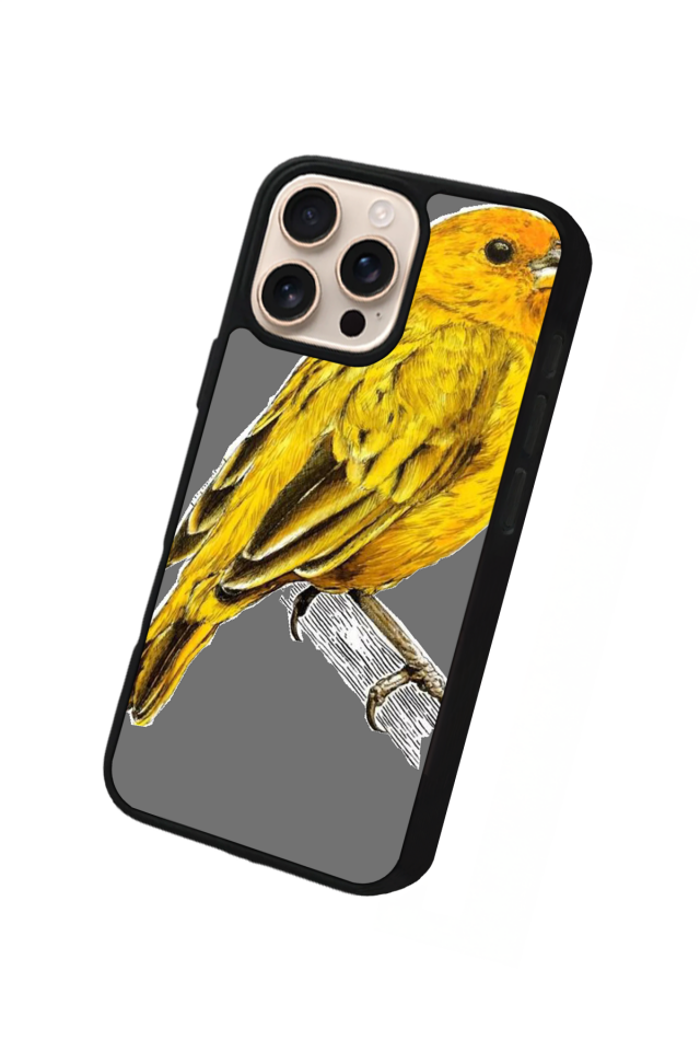 iPhone 15 Pro Max Uyumlu Fenerbahce Tasarımlı Glossy Premium Kılıf