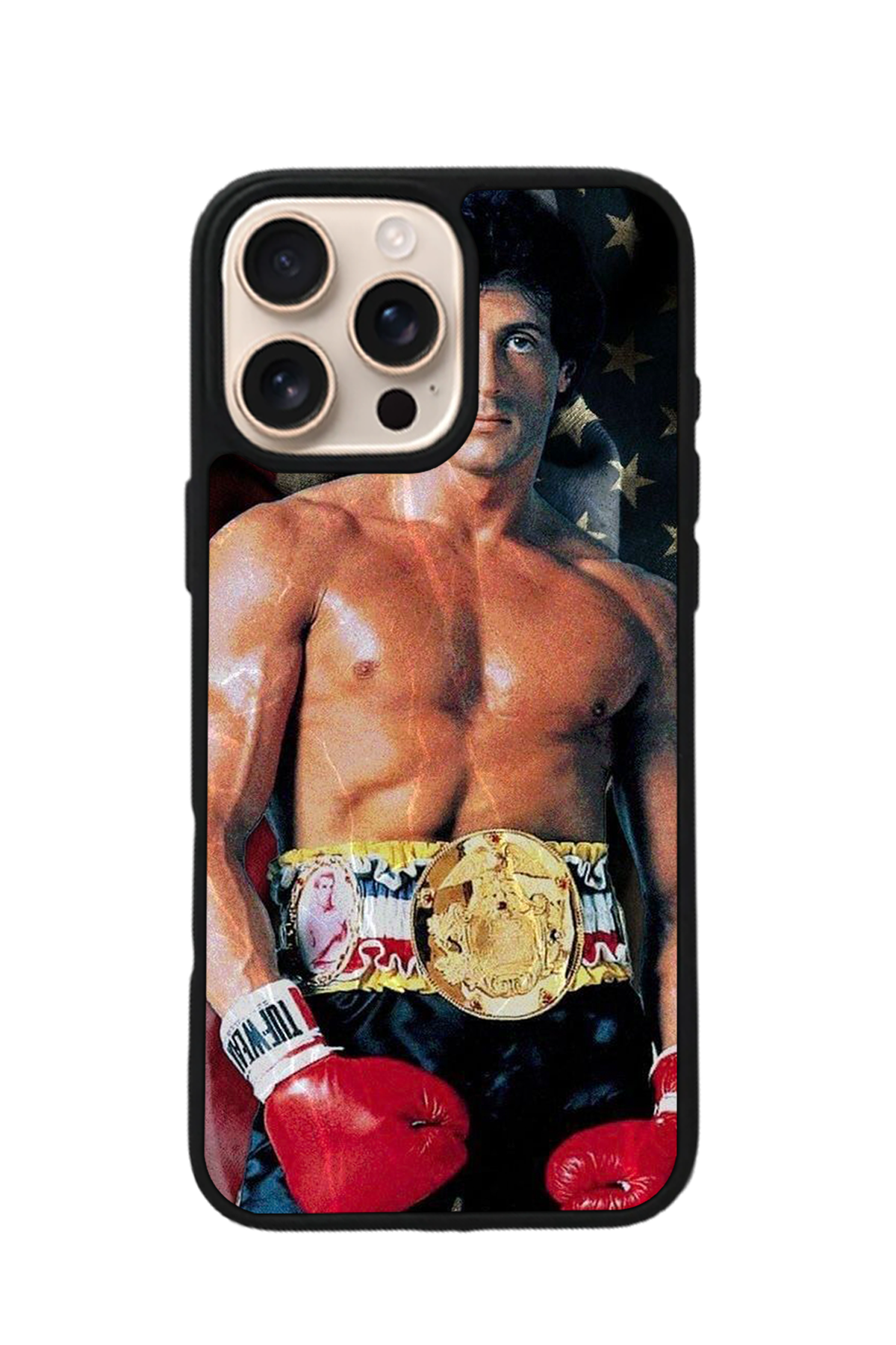 iPhone 16 Pro Max Uyumlu Rocky Tasarımlı Glossy Premium Kılıf