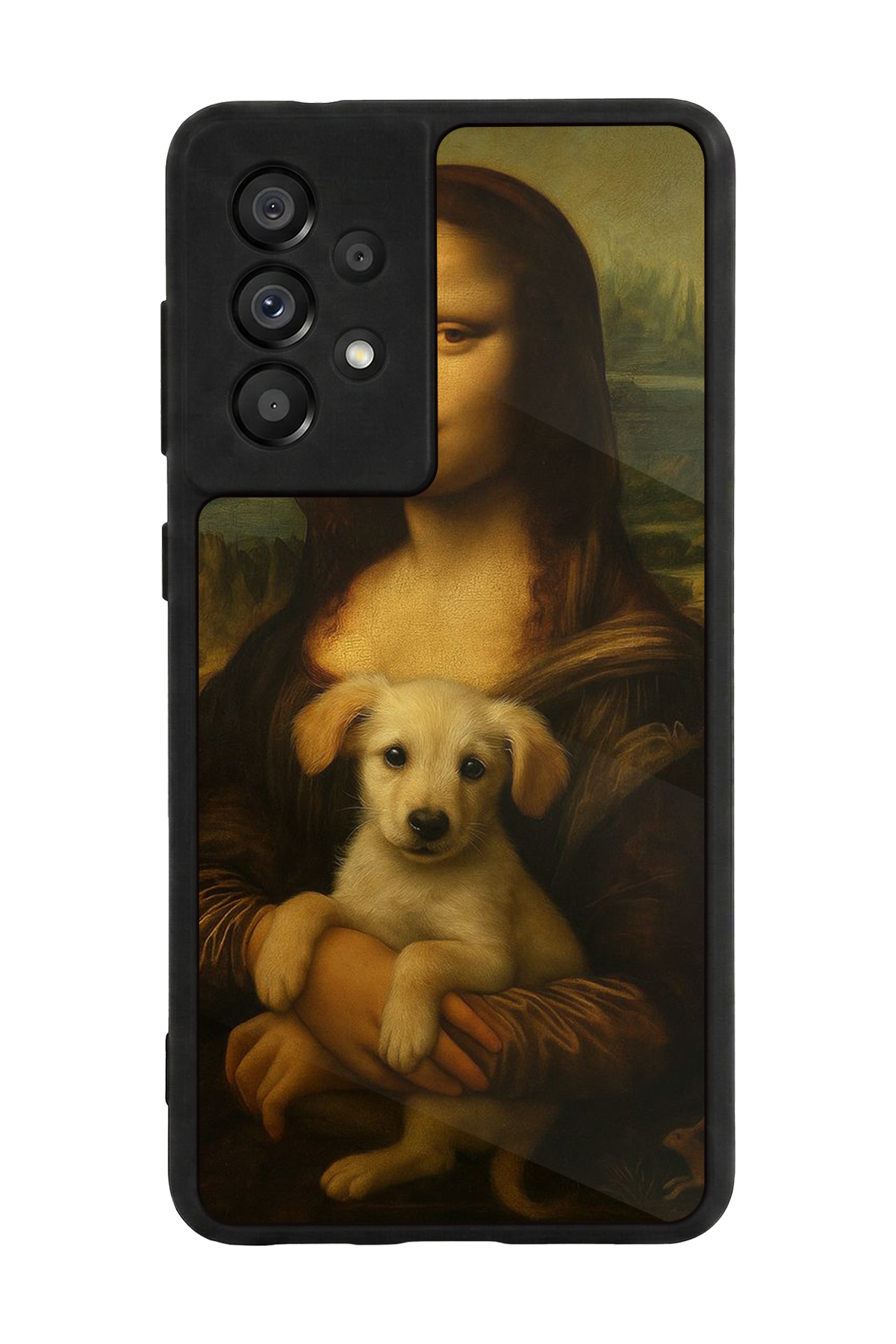 Samsung Galaxy A73 Uyumlu Monalisa Tasarımlı Glossy Premium Kılıf