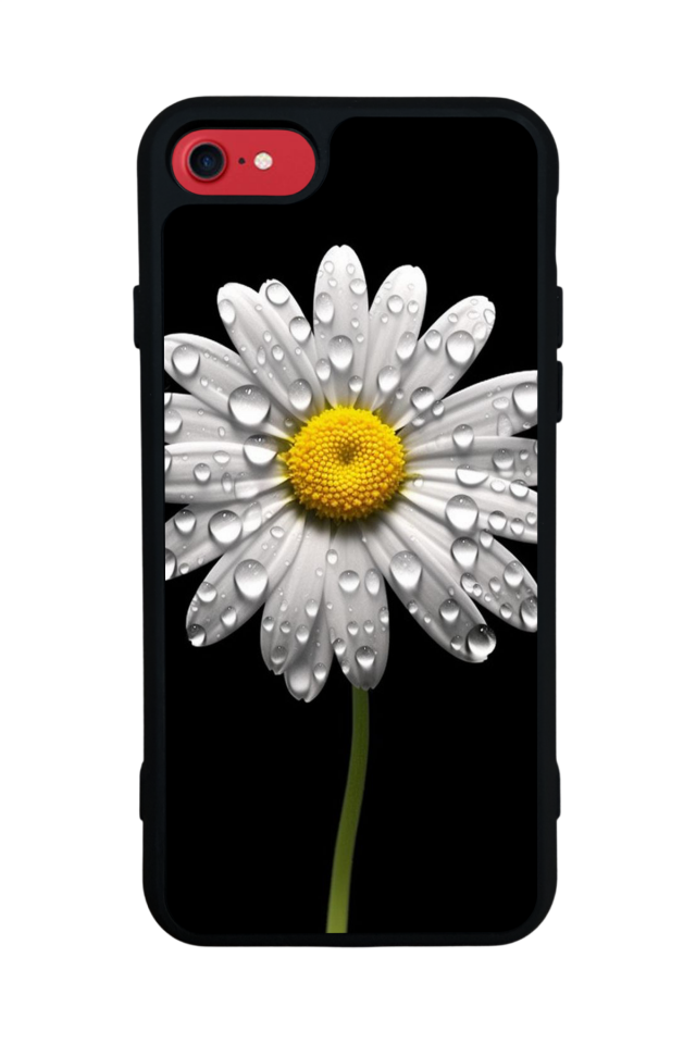 iPhone SE Uyumlu Papatya Tasarımlı Glossy Premium Kılıf