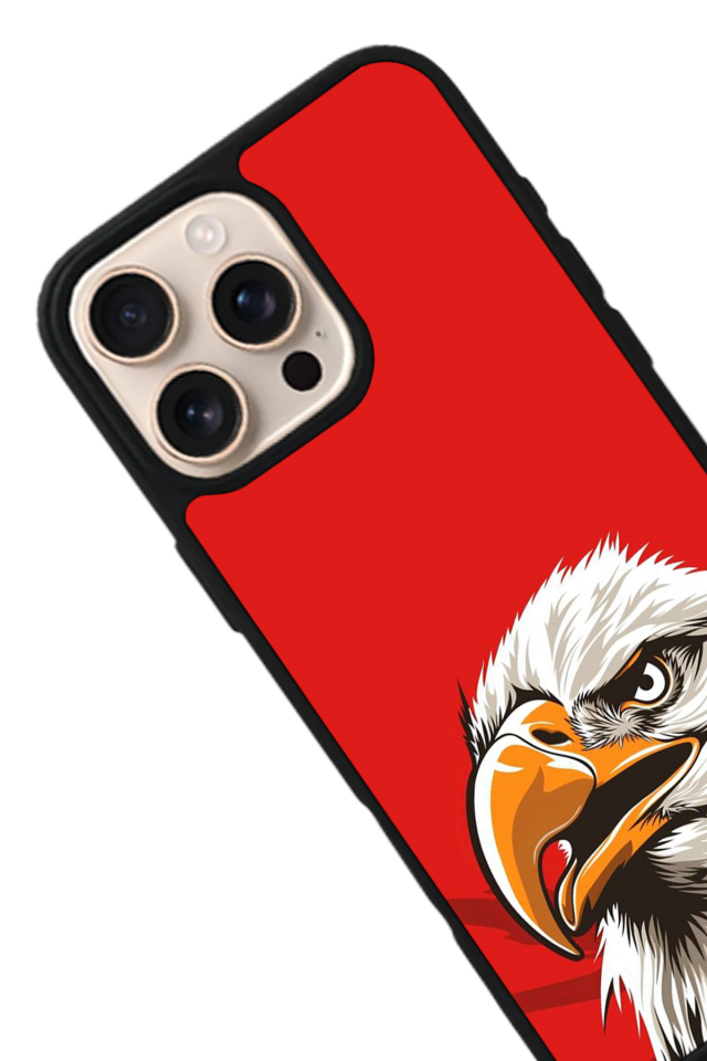 iPhone 16 Pro Uyumlu Besiktas Tasarımlı Glossy Premium Kılıf