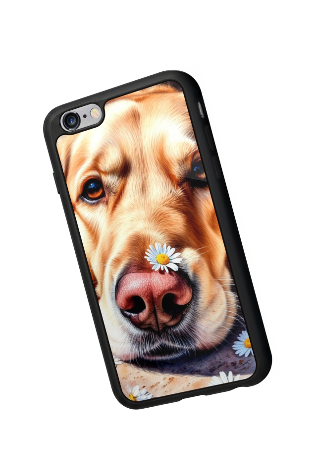 iPhone 6 Plus Uyumlu Golden Kopek Tasarımlı Glossy Premium Kılıf