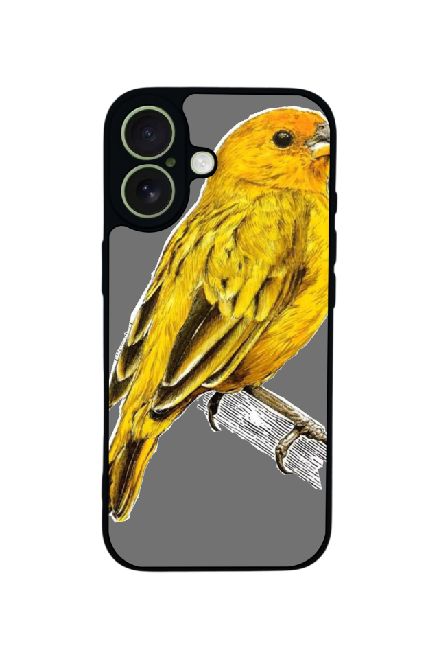 iPhone 17 Uyumlu Fenerbahce Tasarımlı Glossy Premium Kılıf