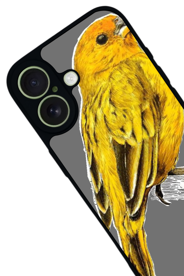 iPhone 17 Uyumlu Fenerbahce Tasarımlı Glossy Premium Kılıf