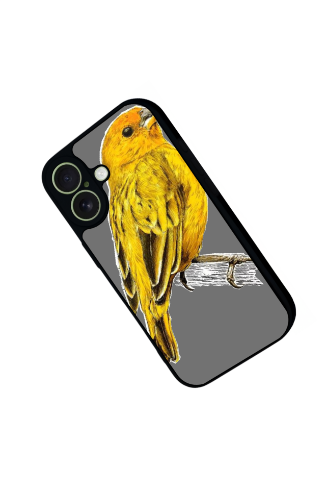 iPhone 17 Uyumlu Fenerbahce Tasarımlı Glossy Premium Kılıf