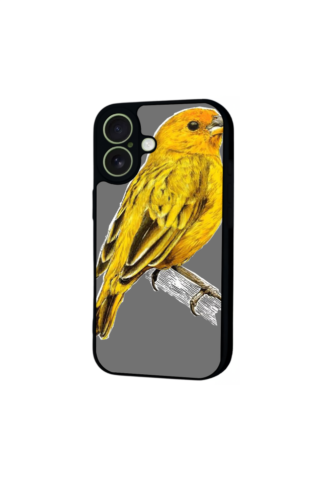 iPhone 17 Uyumlu Fenerbahce Tasarımlı Glossy Premium Kılıf