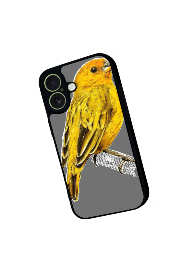 iPhone 17 Uyumlu Fenerbahce Tasarımlı Glossy Premium Kılıf
