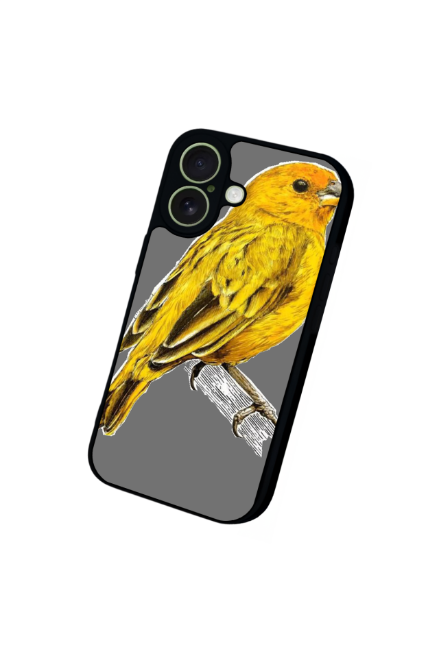 iPhone 17 Uyumlu Fenerbahce Tasarımlı Glossy Premium Kılıf