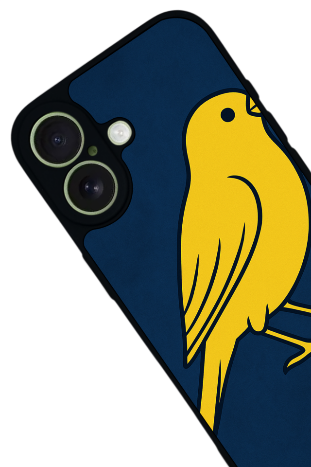 iPhone 17 Uyumlu Fenerbahce Tasarımlı Glossy Premium Kılıf