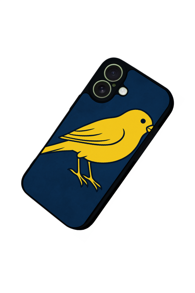 iPhone 17 Uyumlu Fenerbahce Tasarımlı Glossy Premium Kılıf