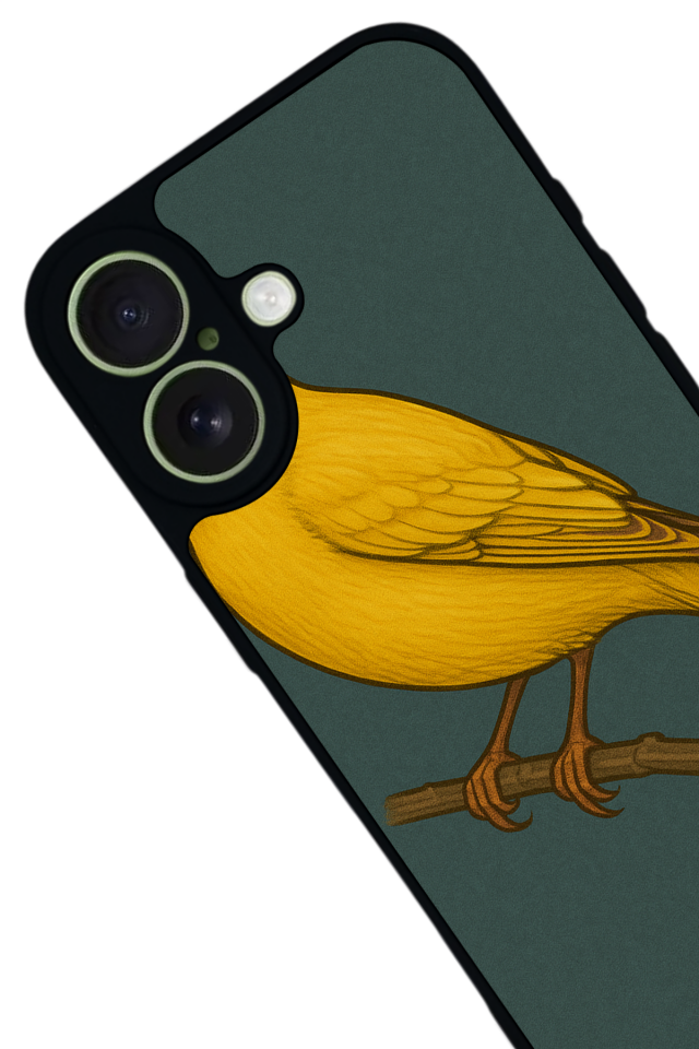 iPhone 17 Uyumlu Fenerbahce Tasarımlı Glossy Premium Kılıf