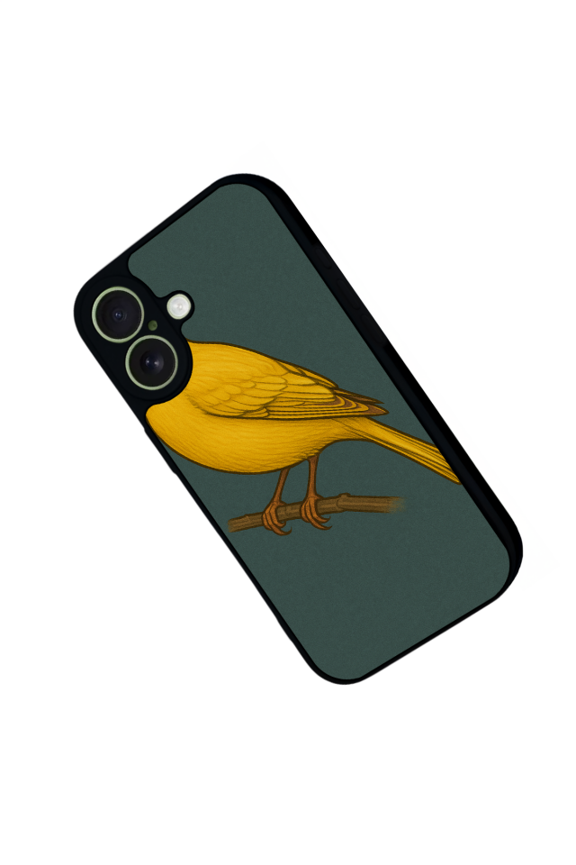 iPhone 17 Uyumlu Fenerbahce Tasarımlı Glossy Premium Kılıf