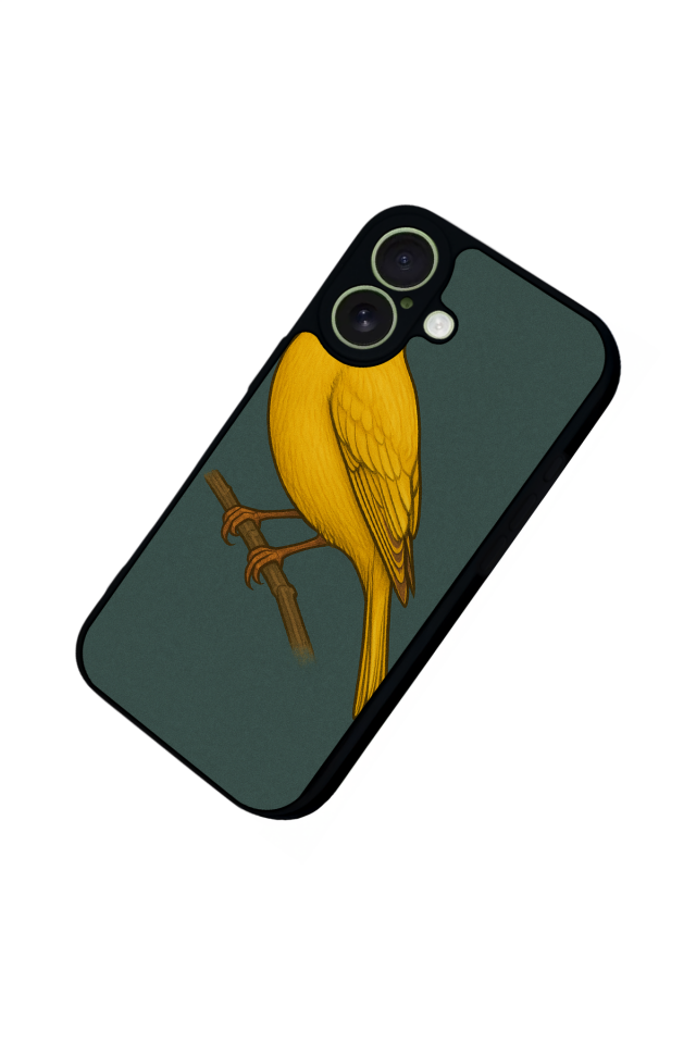 iPhone 17 Uyumlu Fenerbahce Tasarımlı Glossy Premium Kılıf