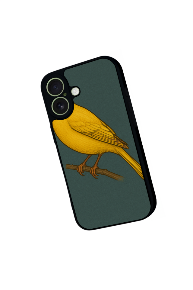 iPhone 17 Uyumlu Fenerbahce Tasarımlı Glossy Premium Kılıf