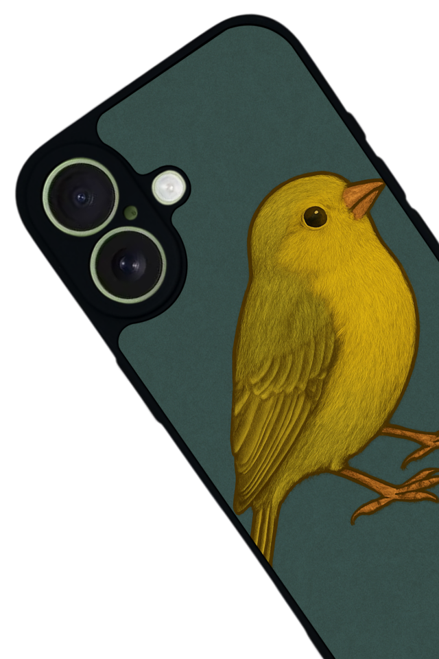iPhone 17 Uyumlu Fenerbahce Tasarımlı Glossy Premium Kılıf