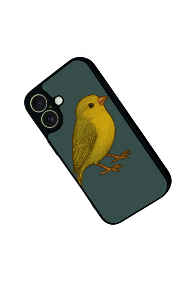 iPhone 17 Uyumlu Fenerbahce Tasarımlı Glossy Premium Kılıf