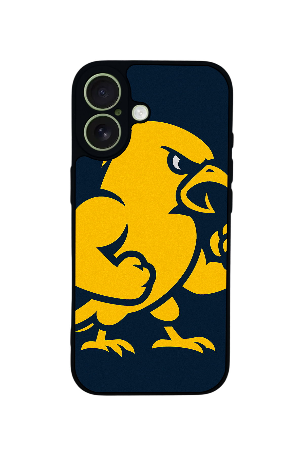 iPhone 17 Uyumlu Fenerbahce Tasarımlı Glossy Premium Kılıf