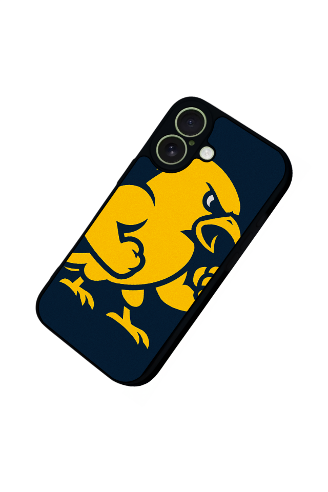 iPhone 17 Uyumlu Fenerbahce Tasarımlı Glossy Premium Kılıf