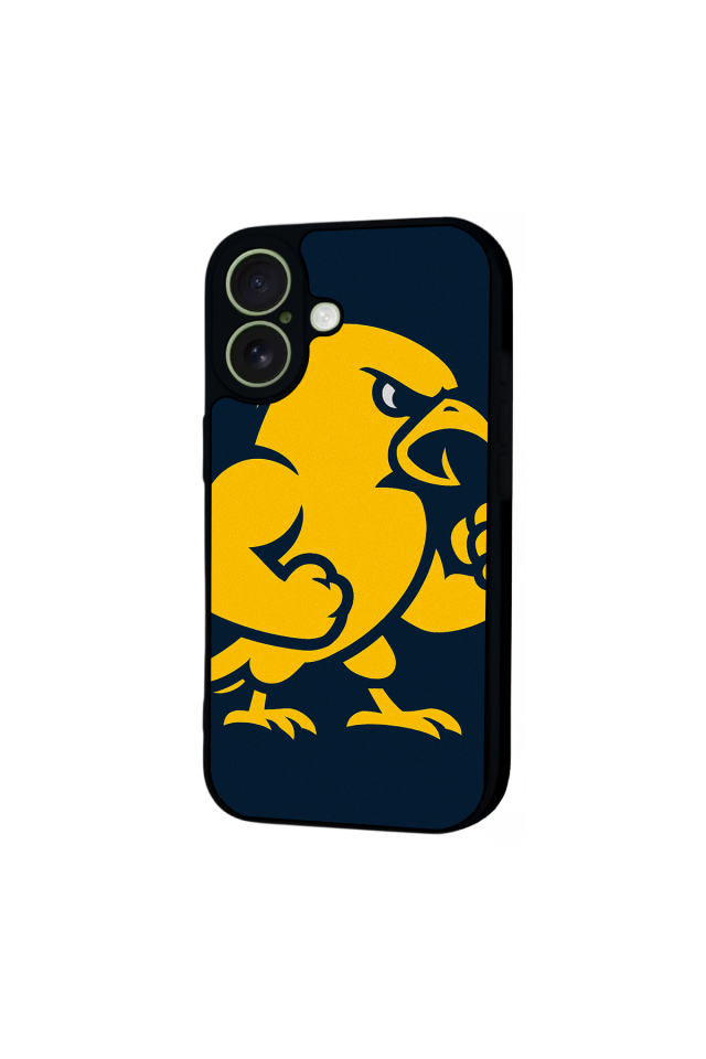 iPhone 17 Uyumlu Fenerbahce Tasarımlı Glossy Premium Kılıf