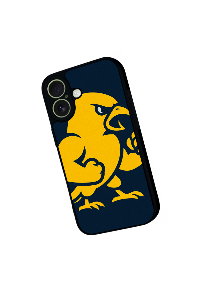 iPhone 17 Uyumlu Fenerbahce Tasarımlı Glossy Premium Kılıf