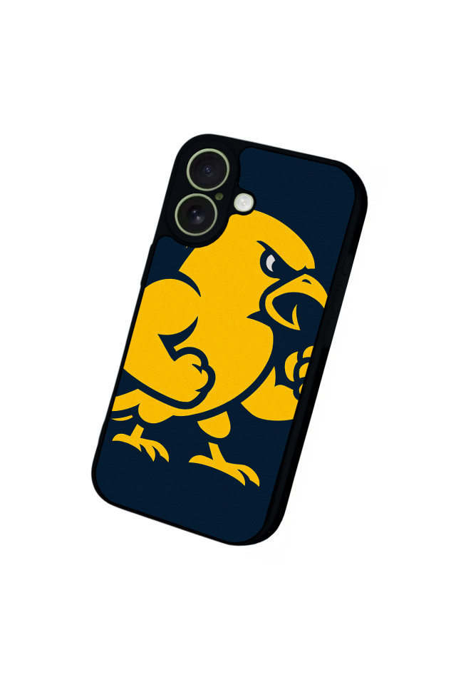 iPhone 17 Uyumlu Fenerbahce Tasarımlı Glossy Premium Kılıf