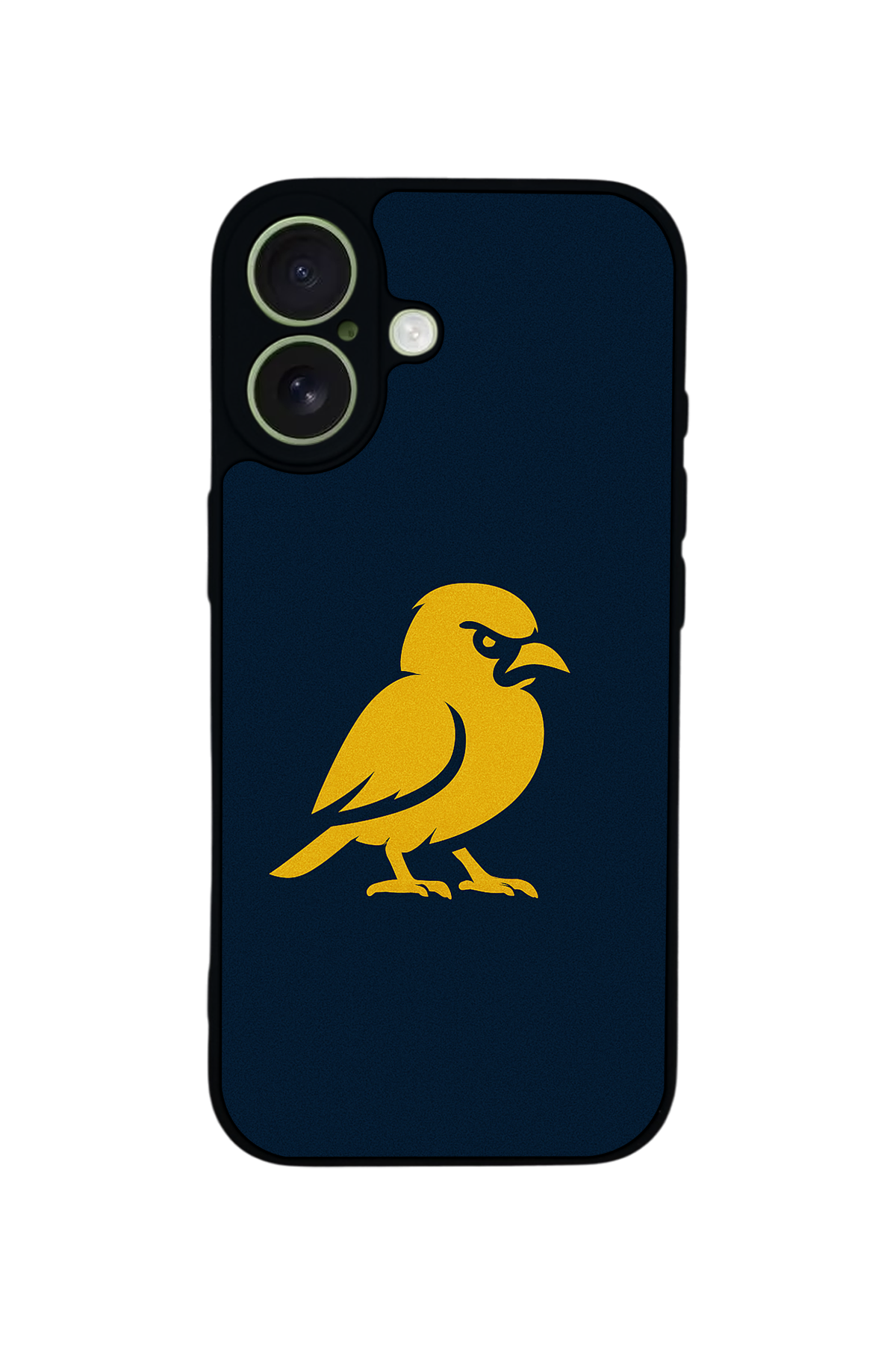 iPhone 17 Uyumlu Fenerbahce Tasarımlı Glossy Premium Kılıf