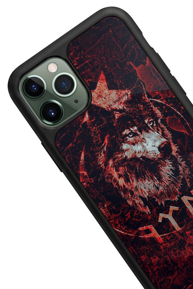 iPhone 11 Pro Uyumlu Türk Tasarımlı Glossy Premium Kılıf