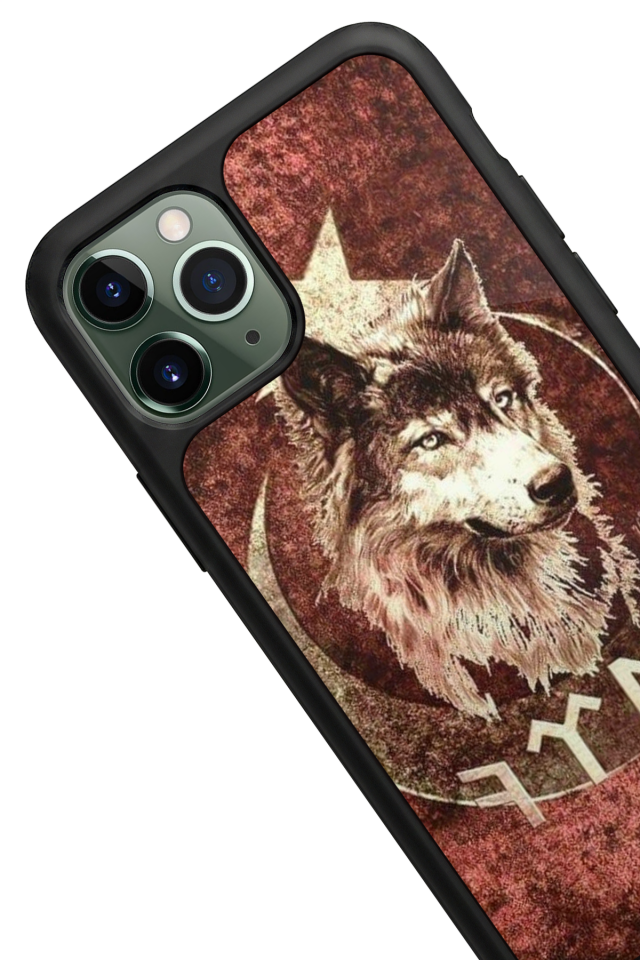 iPhone 11 Pro Uyumlu Türk Tasarımlı Glossy Premium Kılıf