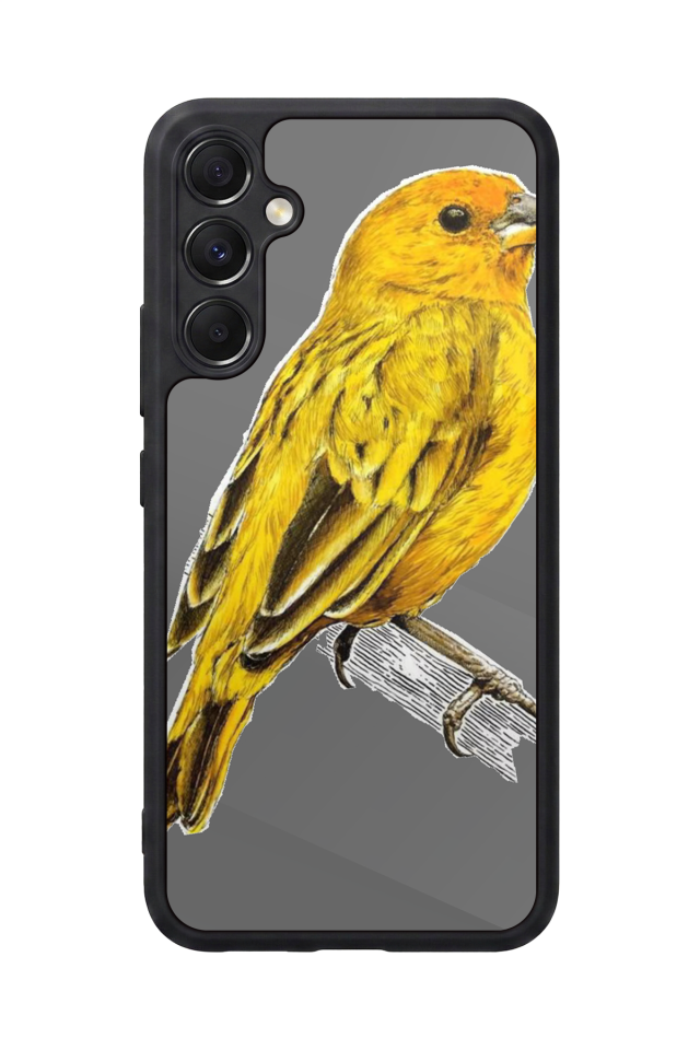 Samsung Galaxy A34 Uyumlu Fenerbahce Tasarımlı Glossy Premium Kılıf